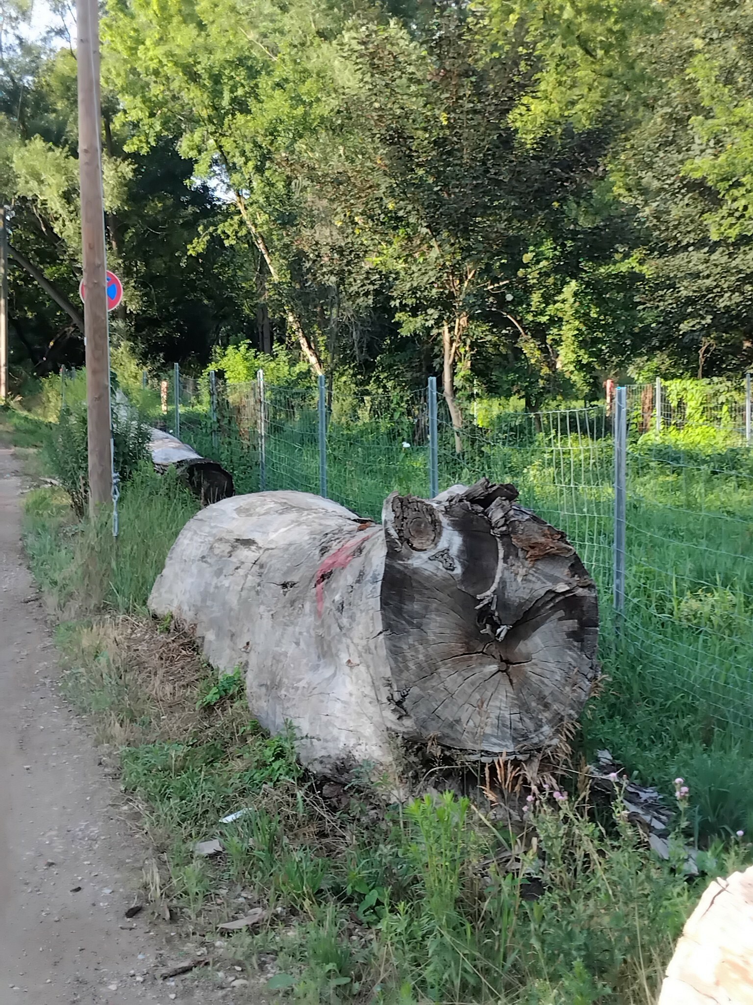 https://radika1.link/2025/07/19/11a7294df4ff58e199c.jpg