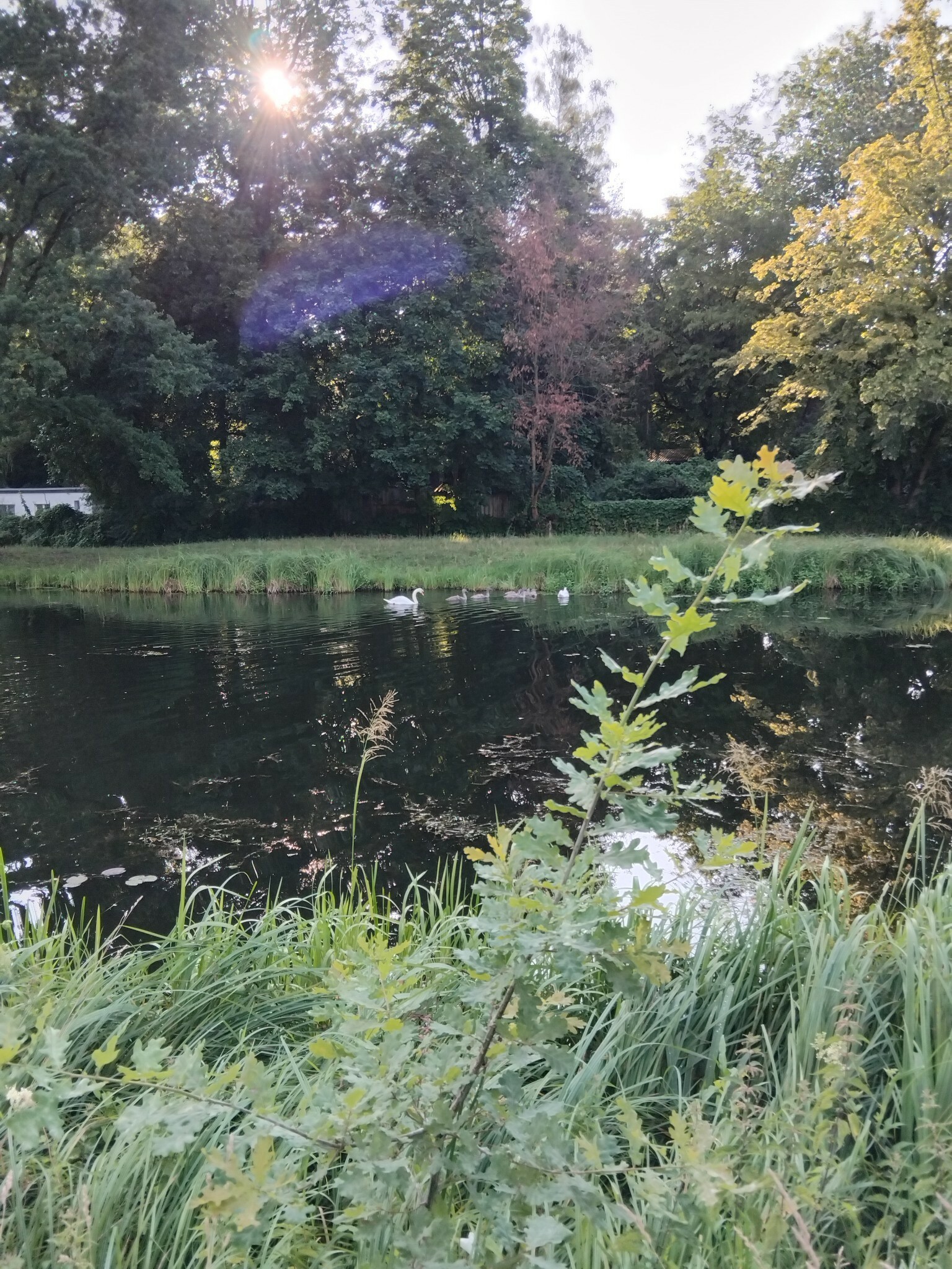 https://radika1.link/2025/07/19/11k8a32db95c579332a.jpg