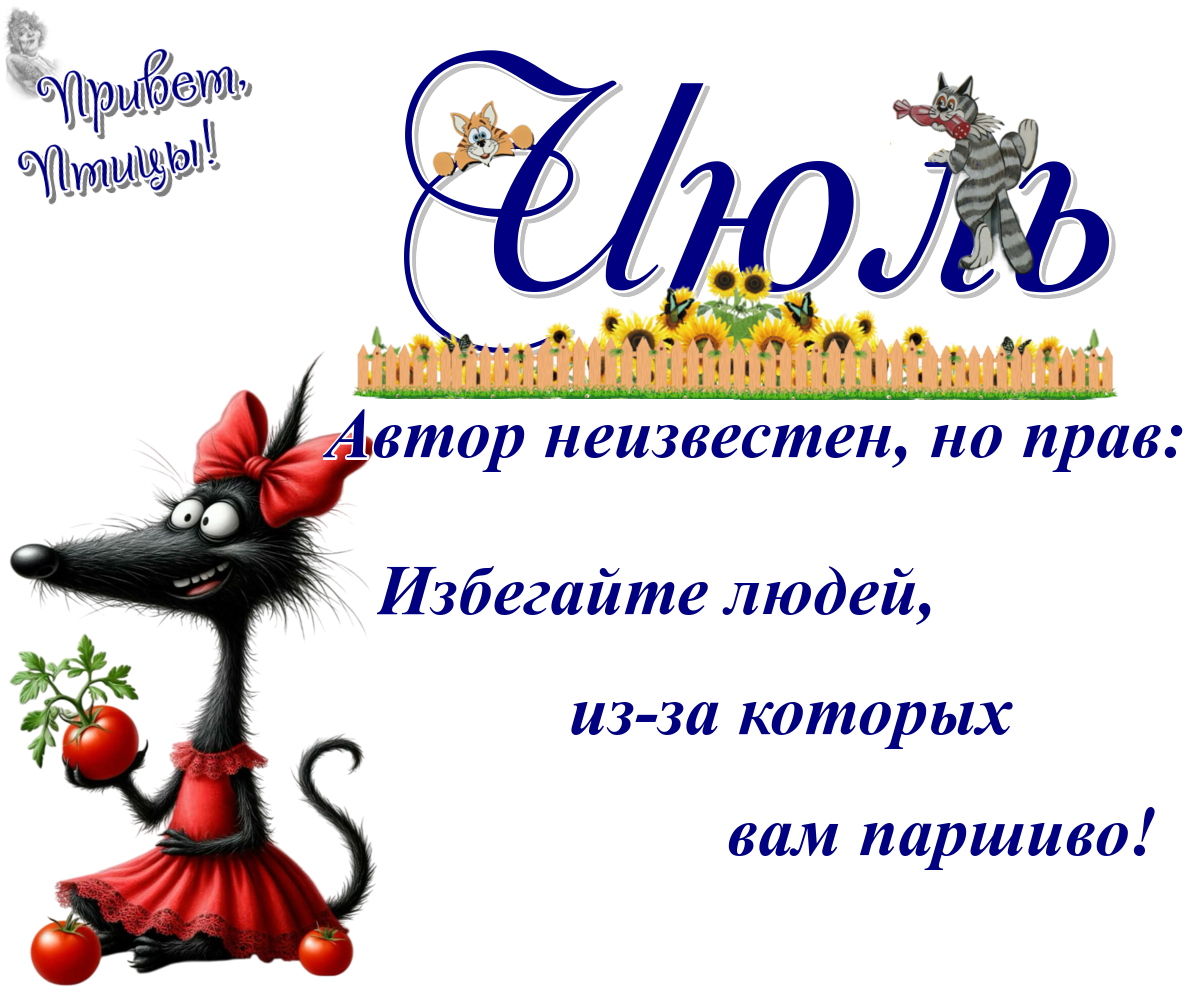 https://radika1.link/2025/07/20/20_076d2d6907aadfeea1.png