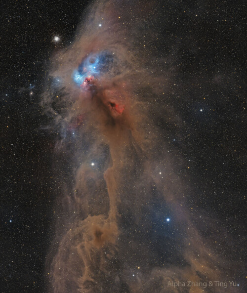 NGC-6727---The-Rampaging-Baboon-Nebula57f1110208527f96.jpg