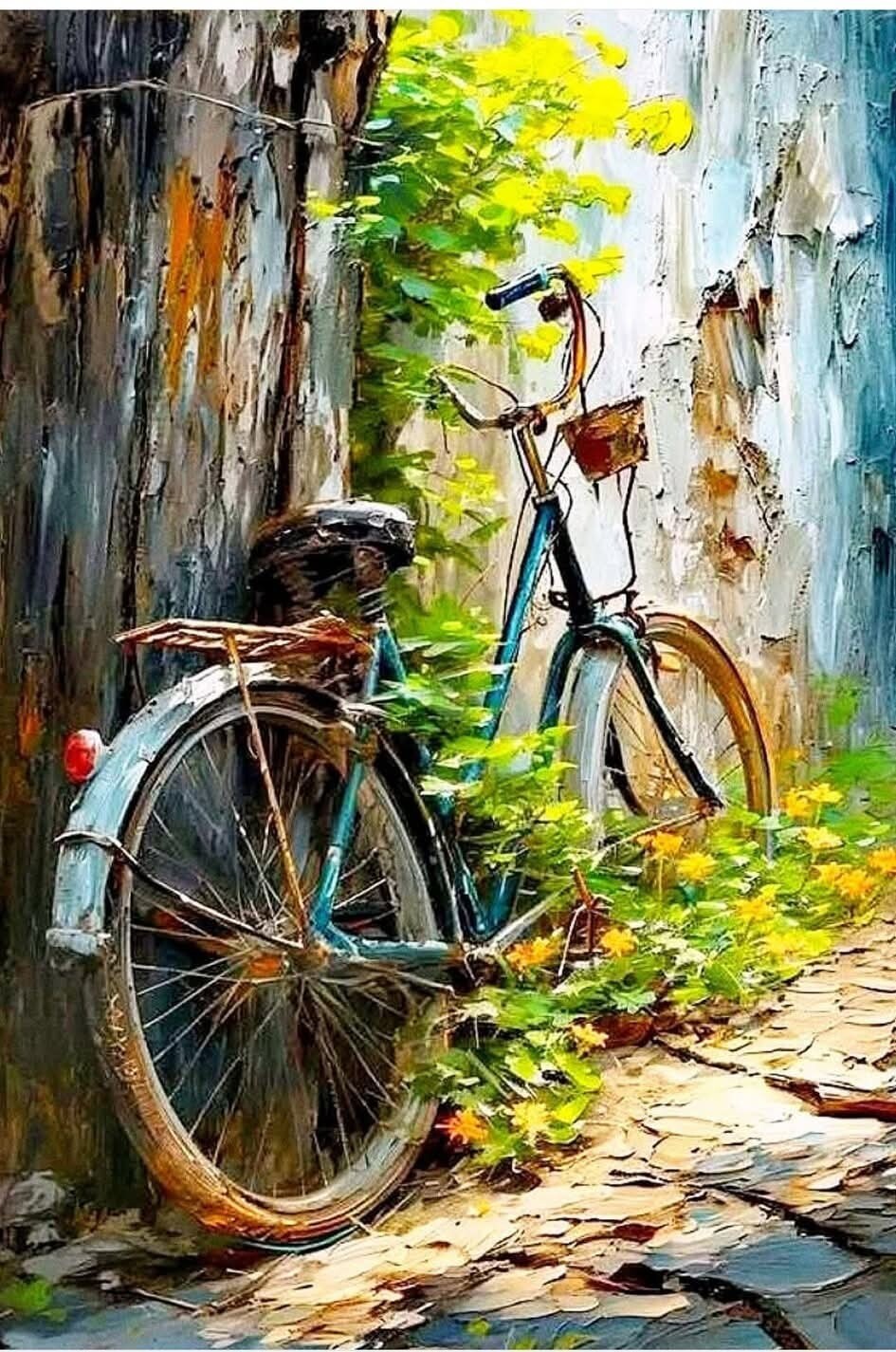 https://radika1.link/2025/07/30/velo149ae4163c4788db19.jpg