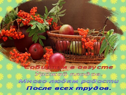 вот и август за окном