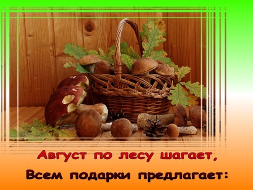 вот и август за окном