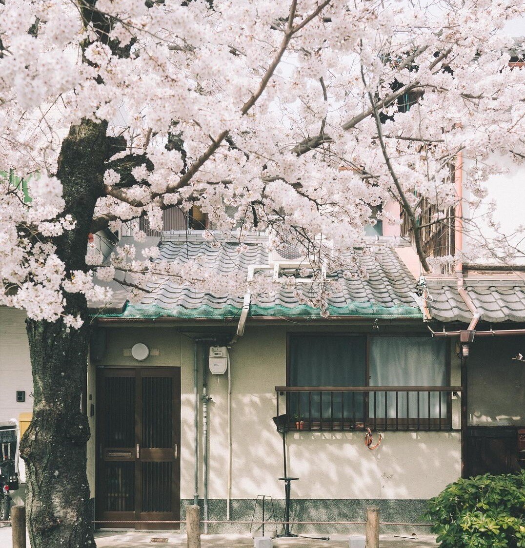 https://radika1.link/2025/07/31/jap2143b5ca059b5237ae.jpg