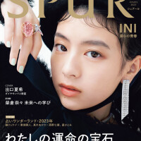 jap652cffe62fe227850