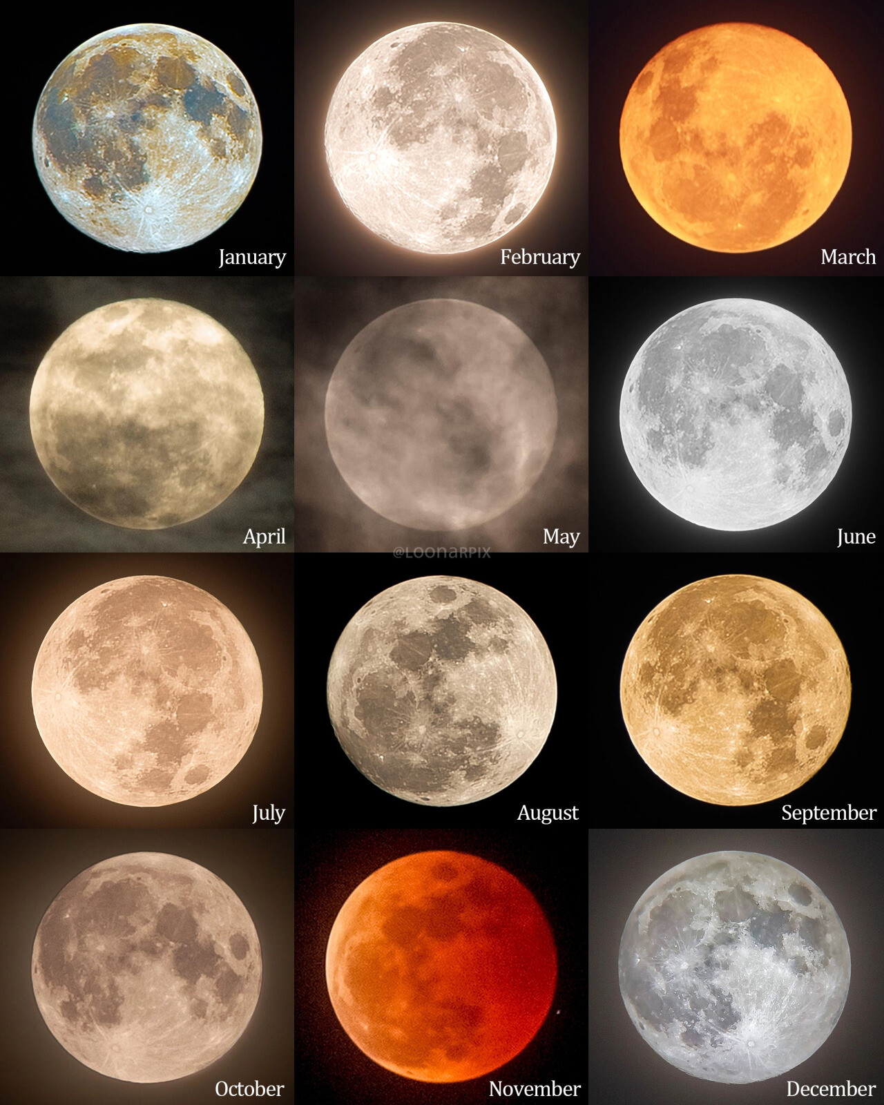 https://radika1.link/2025/08/01/luna2e7038ba1490898f.jpg