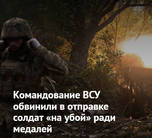 https://radika1.link/2025/08/04/Screenshot_97d75062ea7beaf2b.png