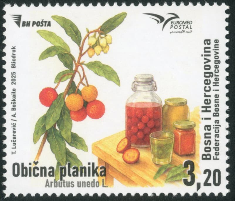 https://radika1.link/2025/08/08/22bf585b4a8dfe72c00.jpg