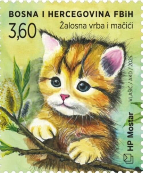 22e3ebe92affd52372a.jpg