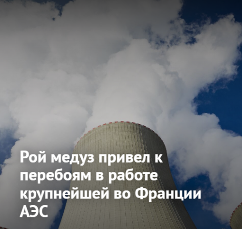 Screenshot_13ccce42899b06d84b.png
