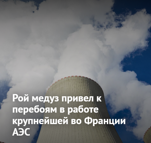 https://radika1.link/2025/08/11/Screenshot_13ccce42899b06d84b.png