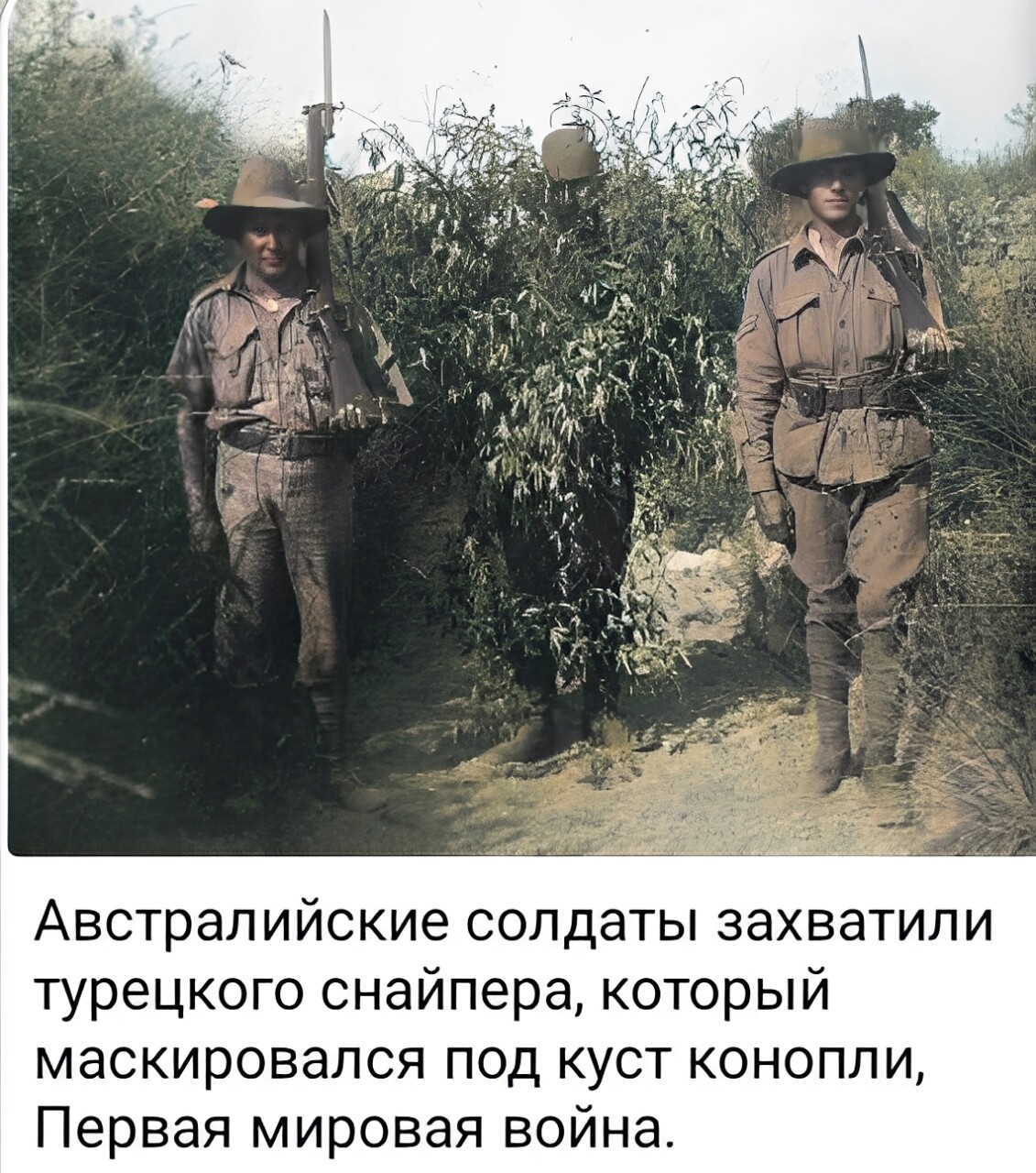 https://radika1.link/2025/08/14/ad7abecf5dc7499aaa2060a1d62718fa520d7680bf7c.jpg