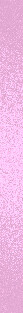 ROZ-39ae988f7f3cbc634.jpg