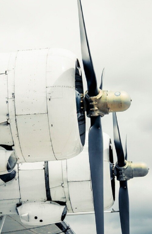 avvi15171d3c2fddc74a0a.jpg
