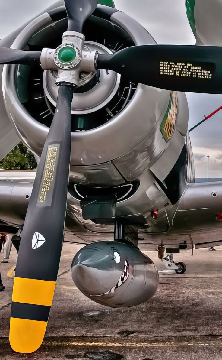 https://radika1.link/2025/08/17/avvi19488c7e2ec072ad75.jpg