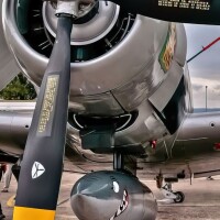 avvi19488c7e2ec072ad75