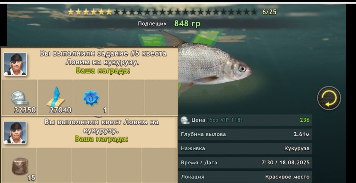 1000022339dd0a7aebbc76f674.jpg