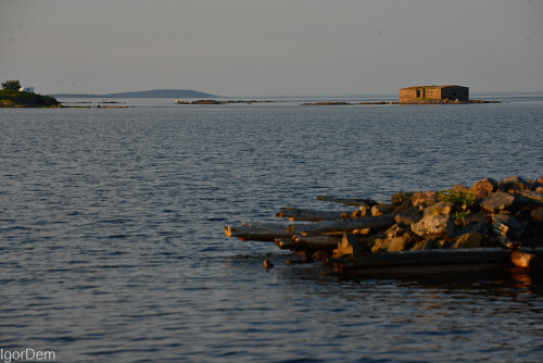 _DSC6867007b178343d88617.jpg