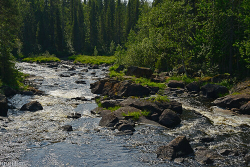 _DSC7244a93085527cbafcc2.jpg