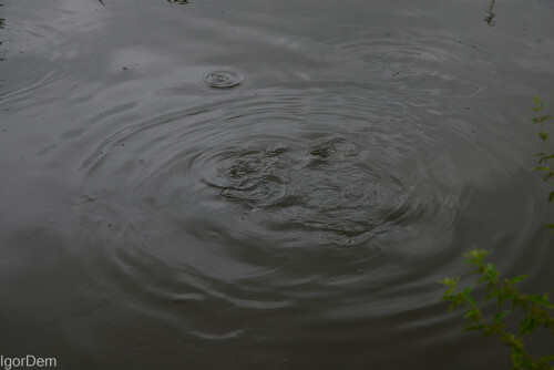 _DSC7451e4bc4717b0441429.jpg