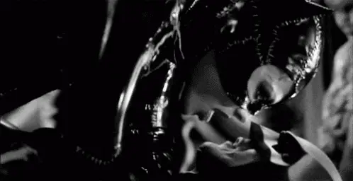 bet-Catwoman--Batman---1992d28df493151ed4ac.webp