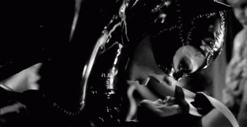 https://radika1.link/2025/08/27/bet-Catwoman--Batman---1992d28df493151ed4ac.webp