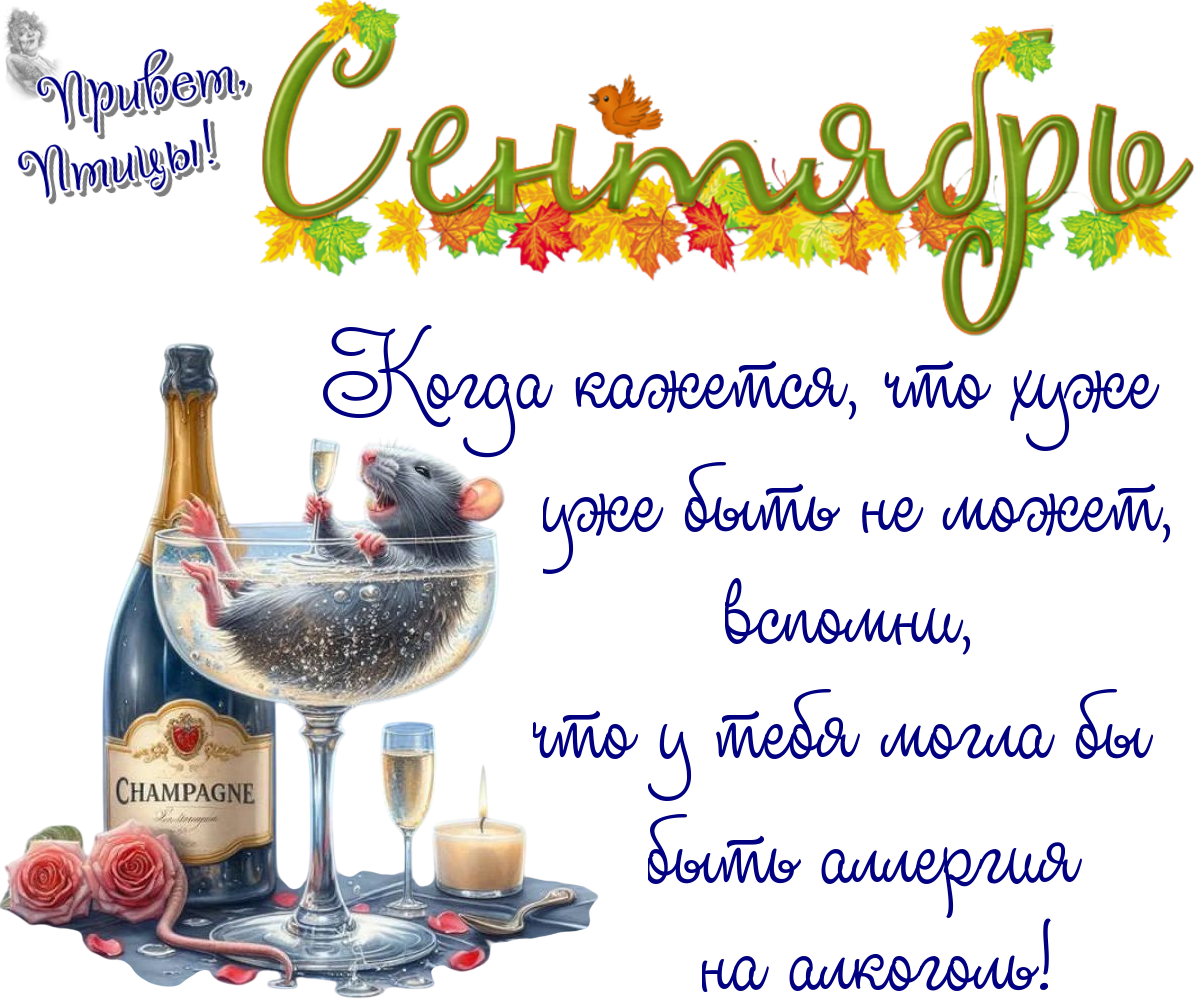 https://radika1.link/2025/09/01/01_09c094fcb977c0e8f3.png