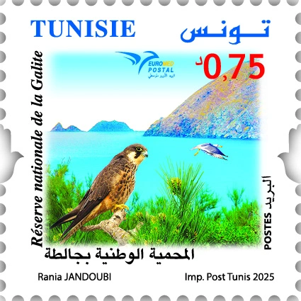 20250707tunesiast2c7977d1724915a00.webp