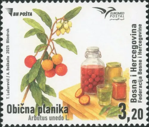 20250714bosniaherzegst893a2c6e822b354e.webp