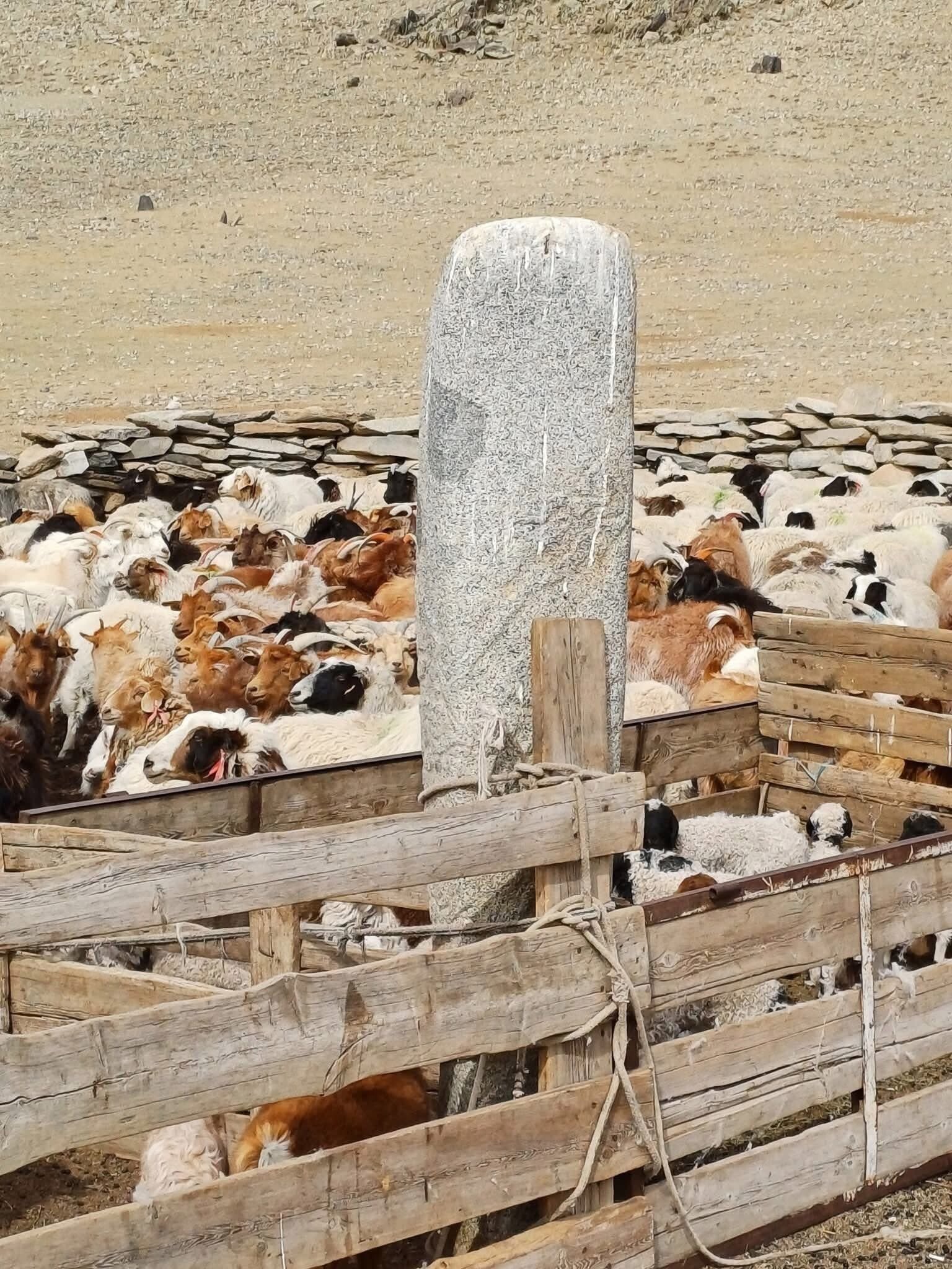 BAYNKONGOR-GALUUT-SUM-EMEEL-TOLGOI9adf83