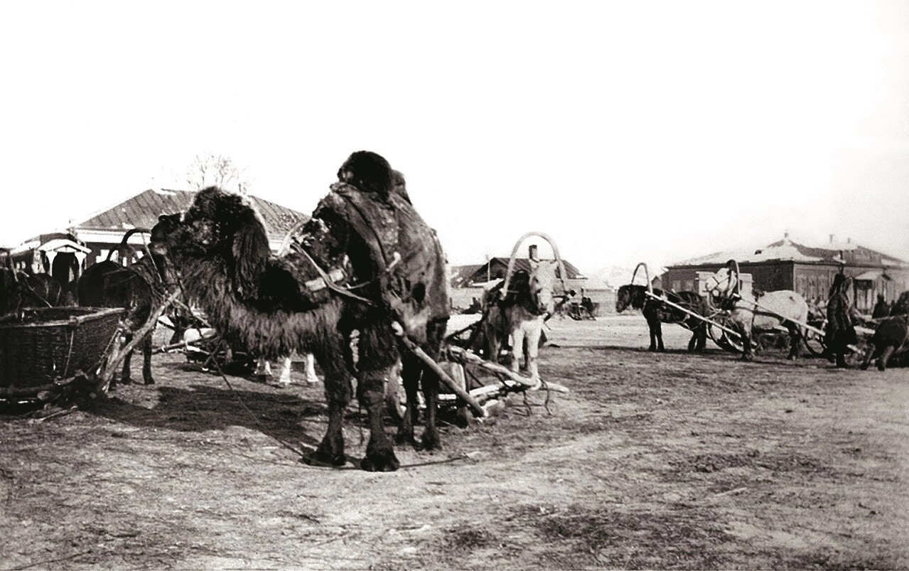 BAZAR5262e0854c1ee07f.jpg