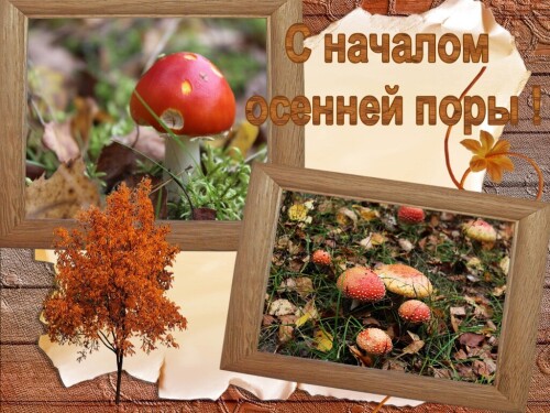 С началом осенней поры !!!
