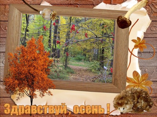 С началом осенней поры !!!