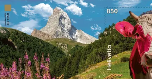 yyyyyyyyyycc8e09e530aa1d19.webp