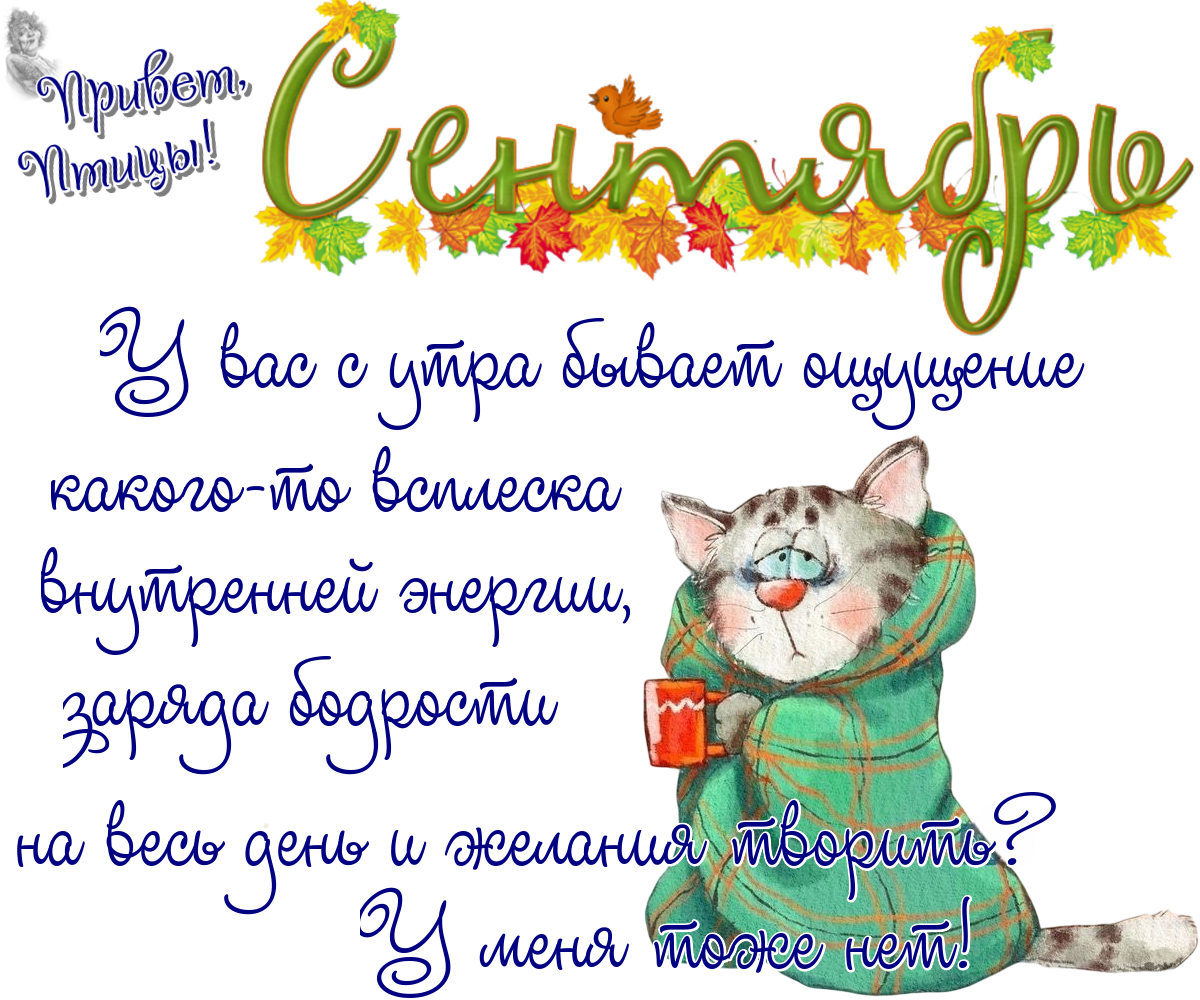 https://radika1.link/2025/09/02/02_09cb87664ec5599e3f.png