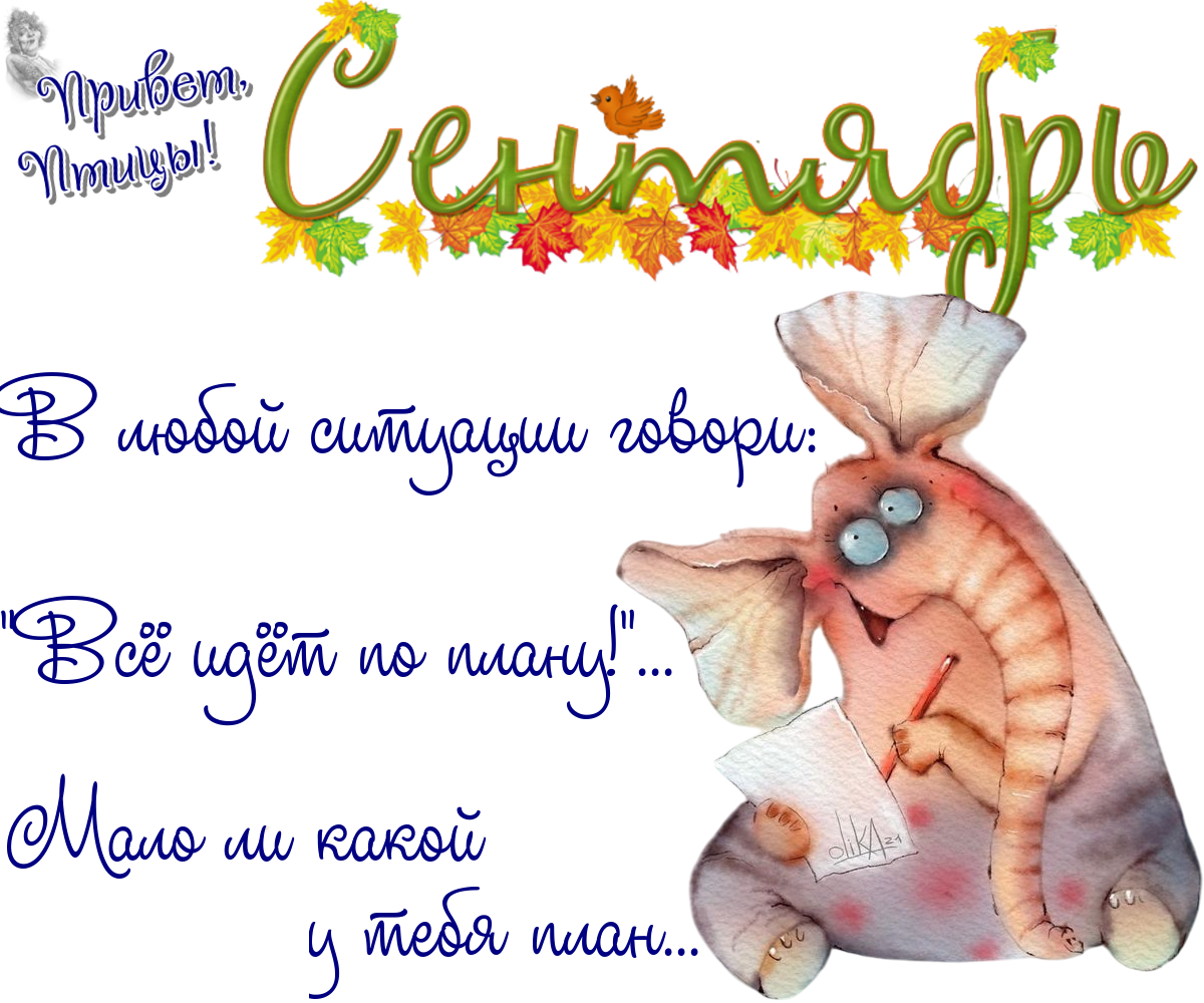 https://radika1.link/2025/09/03/03_09036c8e165409bfe3.png