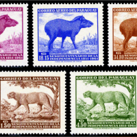 PARAGVAI-1961a6e10723cb888044