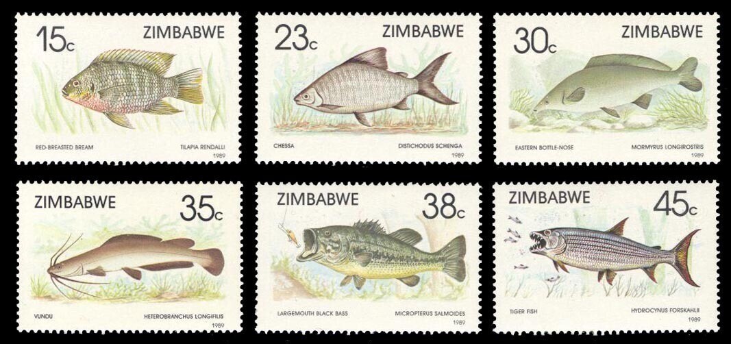 https://radika1.link/2025/09/03/ZIMBABVE-198954af8d09069f5ca5.jpg