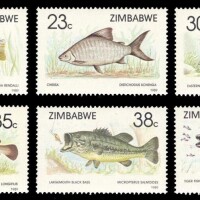 ZIMBABVE-198954af8d09069f5ca5