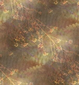 002dcbdd3655aaef5115e10bf22dd0ef