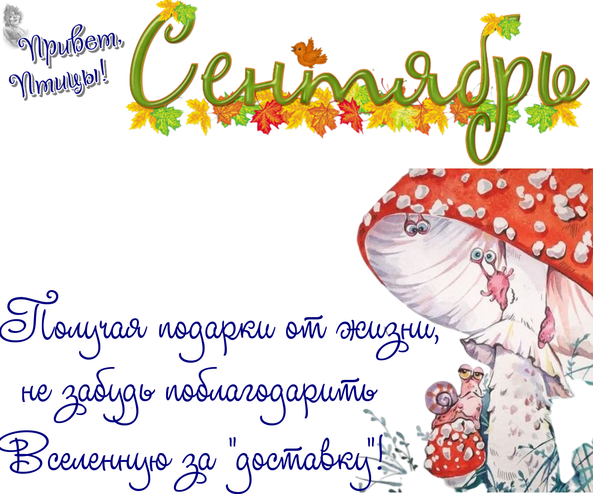 https://radika1.link/2025/09/04/04_09b80a6828720ddd51.png