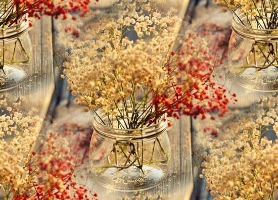 dried flowers 5000 x 3600 wallpaper t3co7vmtrx32gbqe