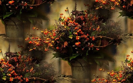 floral arrangement 1920 x 1200 wallpaper 3euz19uyp4vwkf5a