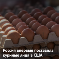 Screenshot_1008e919df27fcb001