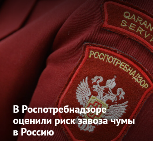 Screenshot_9622d84258f6f7f56.png