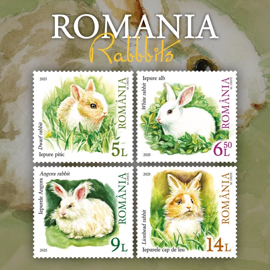 https://radika1.link/2025/09/05/csr66f36748b264b3e8.jpg