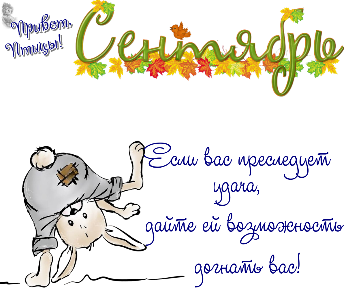 https://radika1.link/2025/09/06/06_09ce98e9de952f0abd.png