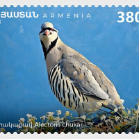 UU7daf19831532d248