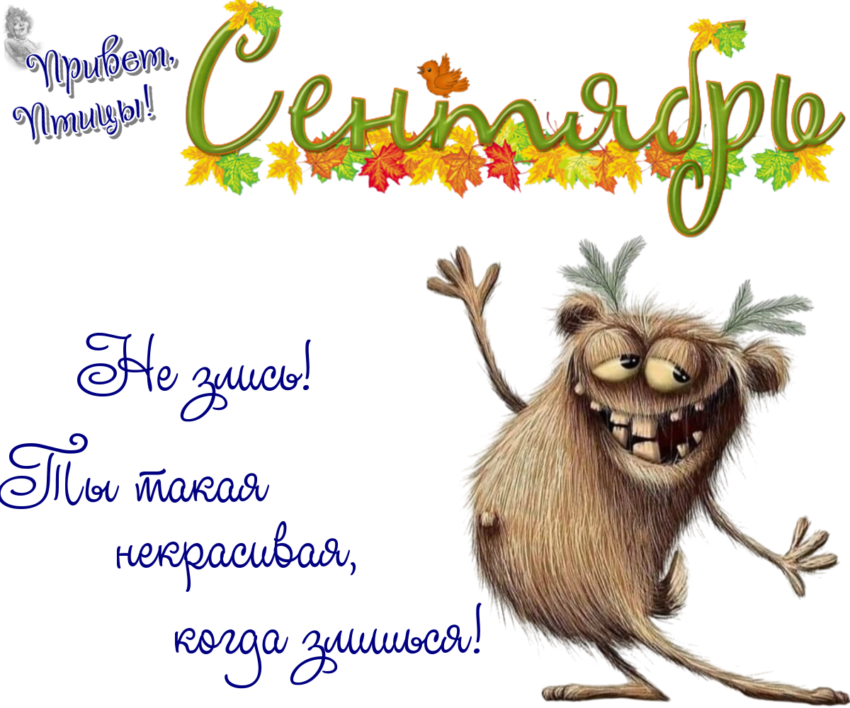 https://radika1.link/2025/09/07/07_09c761fe68a8d6b9ea.png