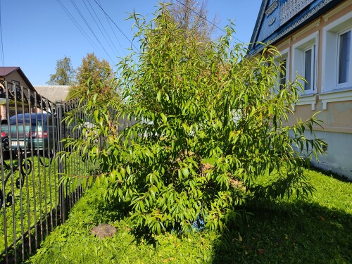 IMG 20250907 120413